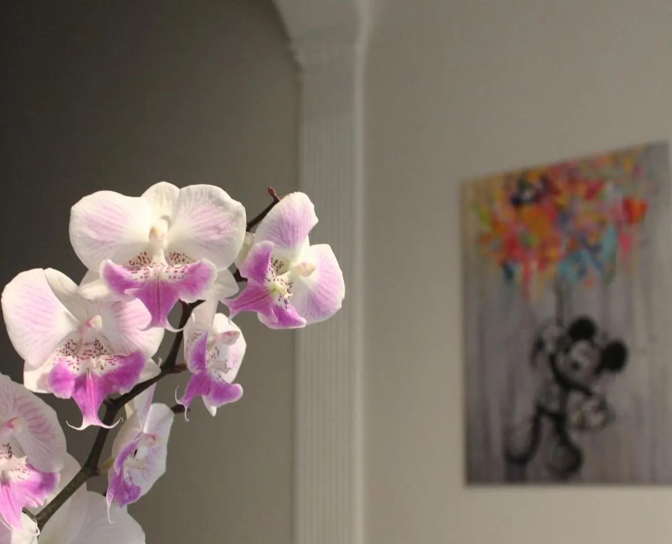 Bed & Breakfast Bed and Breakfast Casa Elvira Nonantola Italia